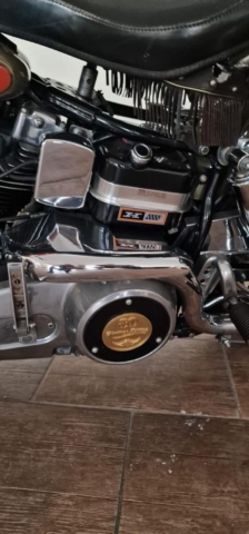 stefanhead harley davidson usate rimini