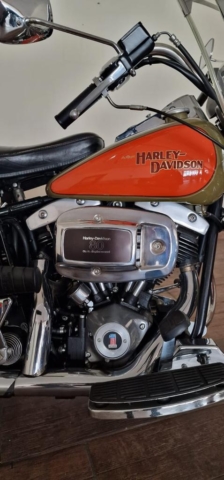 stefanhead harley davidson usate rimini