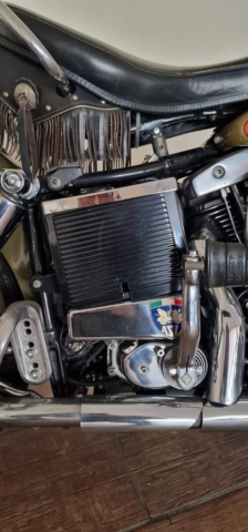 stefanhead harley davidson usate rimini