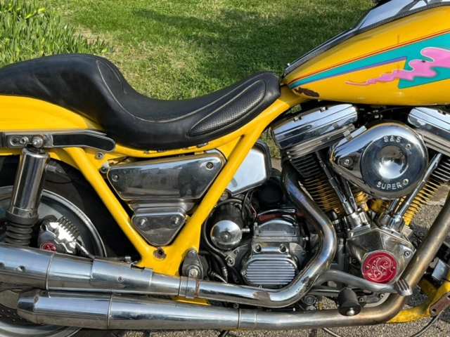 stefanhead harley davidson usate rimini