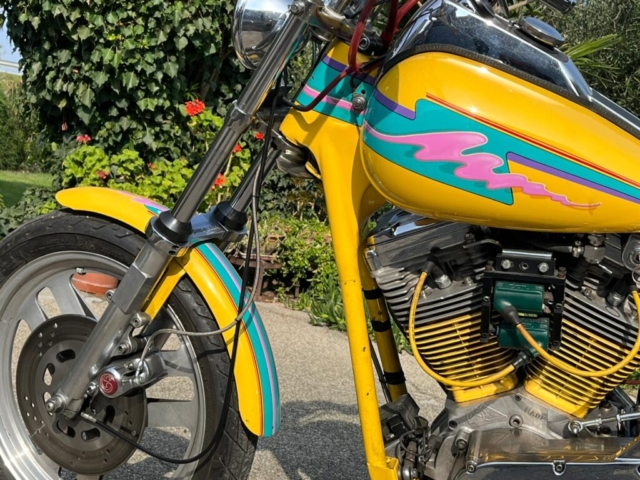 stefanhead harley davidson usate rimini
