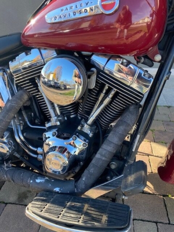 stefanhead harley davidson usate rimini