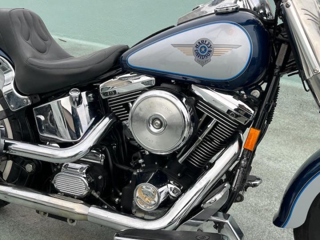 stefanhead harley davidson usate rimini