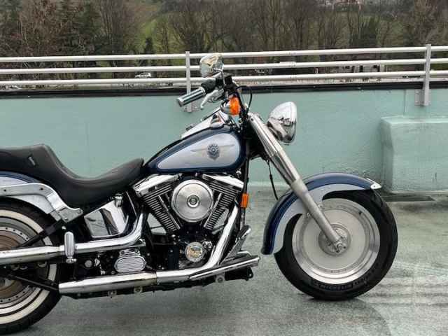 stefanhead harley davidson usate rimini