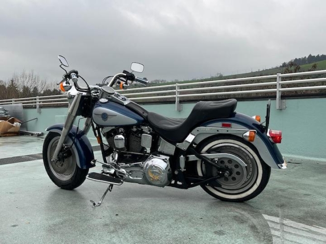 stefanhead harley davidson usate rimini