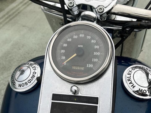 stefanhead harley davidson usate rimini