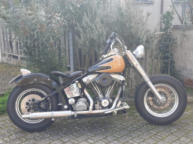 stefanhead harley davidson usate rimini