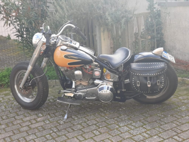 stefanhead harley davidson usate rimini