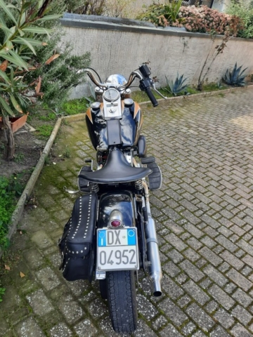 stefanhead harley davidson usate rimini