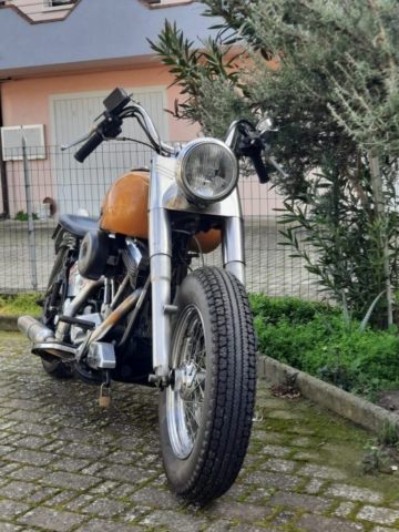 stefanhead harley davidson usate rimini