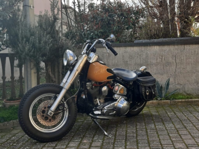 stefanhead harley davidson usate rimini
