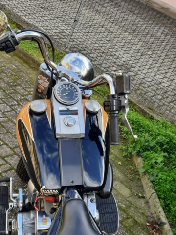 stefanhead harley davidson usate rimini
