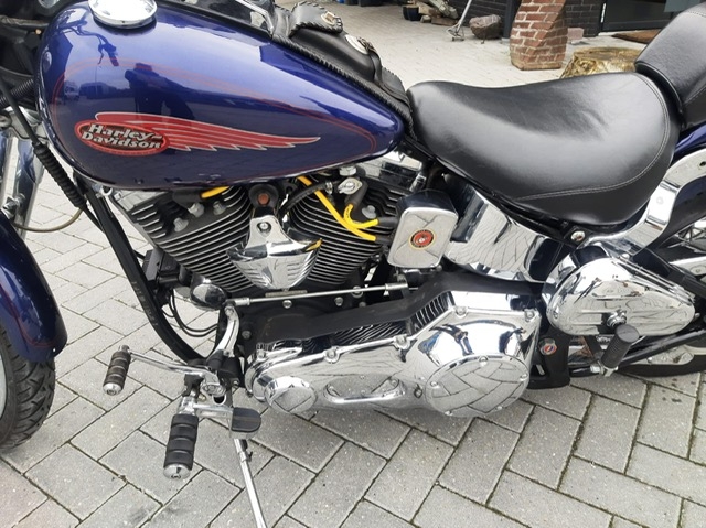 stefanhead harley davidson usate rimini