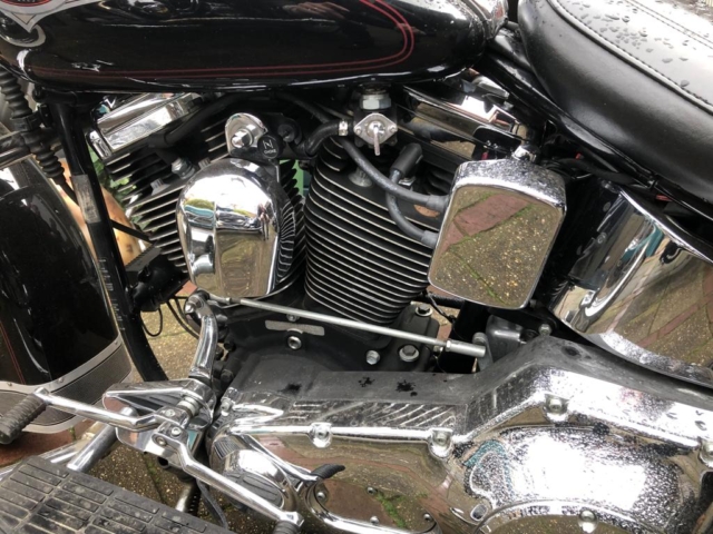 stefanhead harley davidson usate rimini