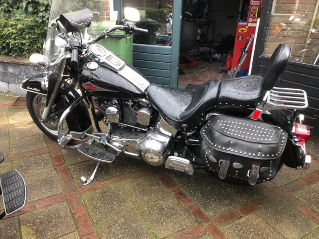 stefanhead harley davidson usate rimini