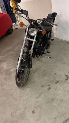 stefanhead harley davidson usate rimini