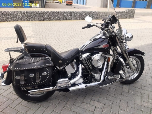 stefanhead harley davidson usate rimini