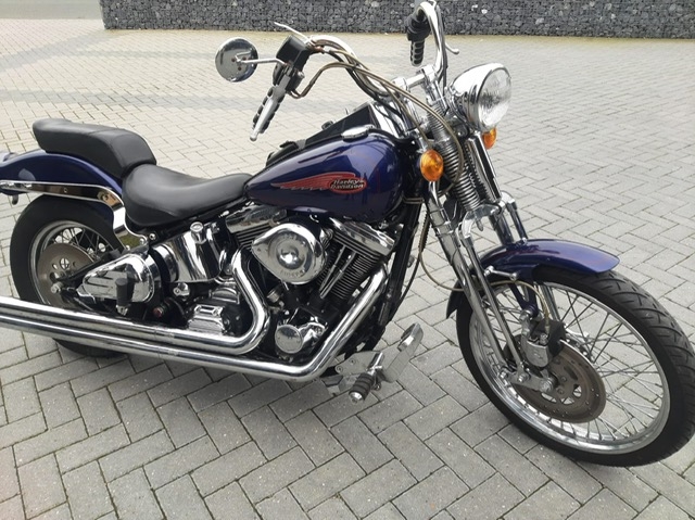 stefanhead harley davidson usate rimini