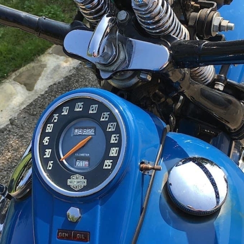 stefanhead harley davidson usate rimini