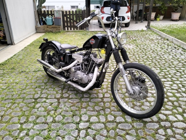 stefanhead harley davidson usate rimini