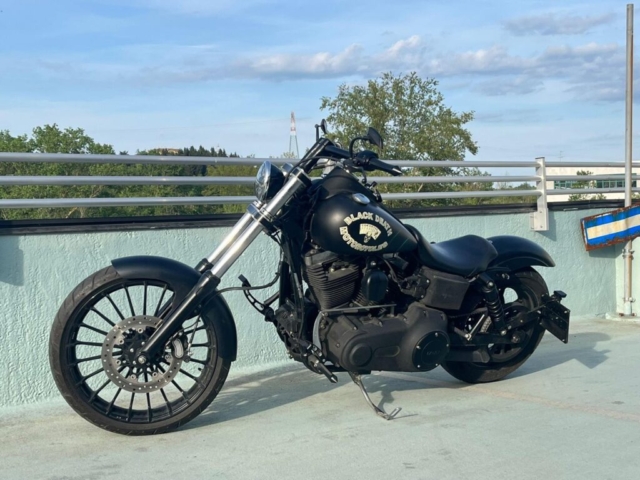 stefanhead harley davidson usate rimini