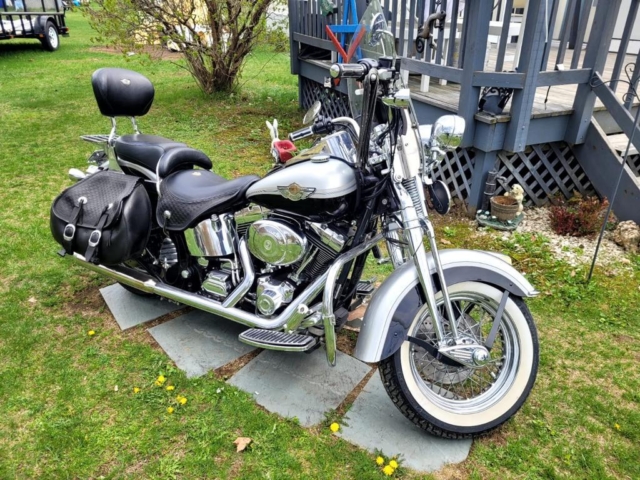 stefanhead harley davidson usate rimini