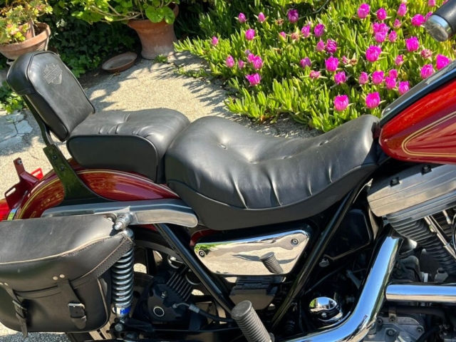 stefanhead harley davidson usate rimini