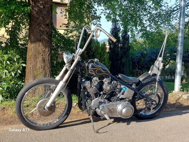 stefanhead harley davidson usate rimini