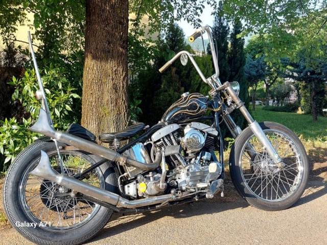 stefanhead harley davidson usate rimini