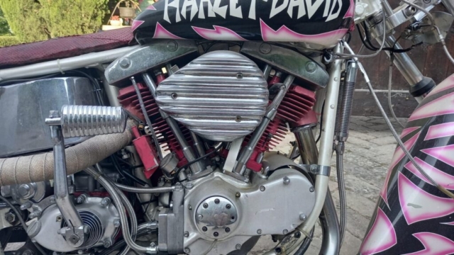 stefanhead harley davidson usate rimini