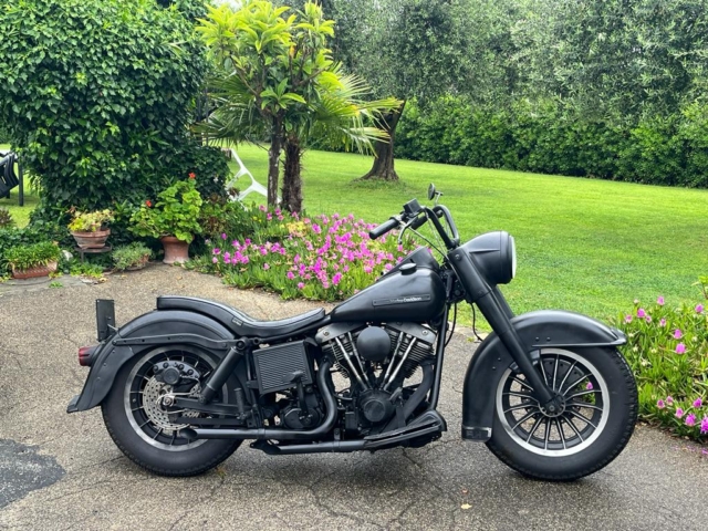 stefanhead harley davidson usate rimini