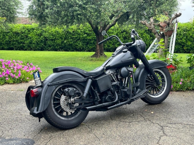 stefanhead harley davidson usate rimini