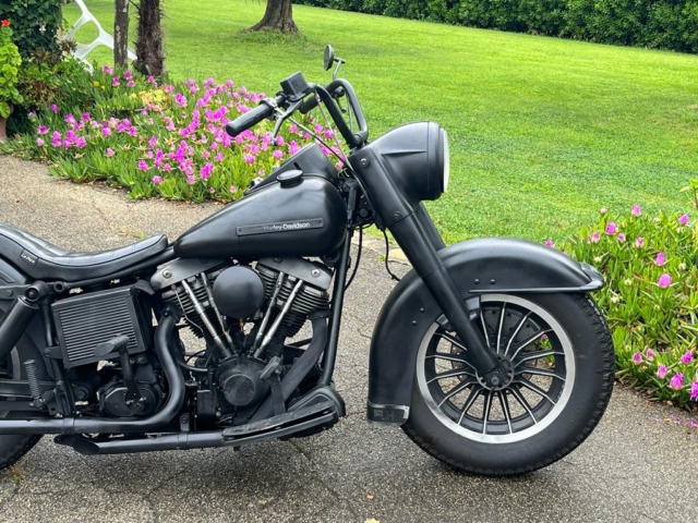 stefanhead harley davidson usate rimini