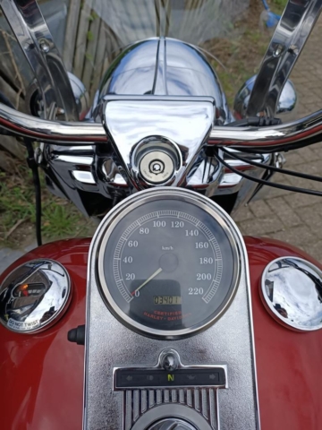 stefanhead harley davidson usate rimini