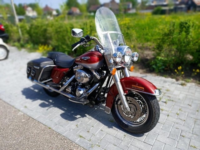 stefanhead harley davidson usate rimini