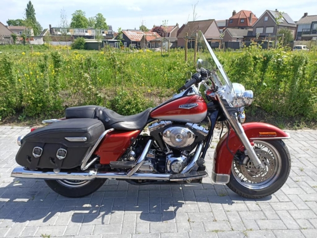 stefanhead harley davidson usate rimini