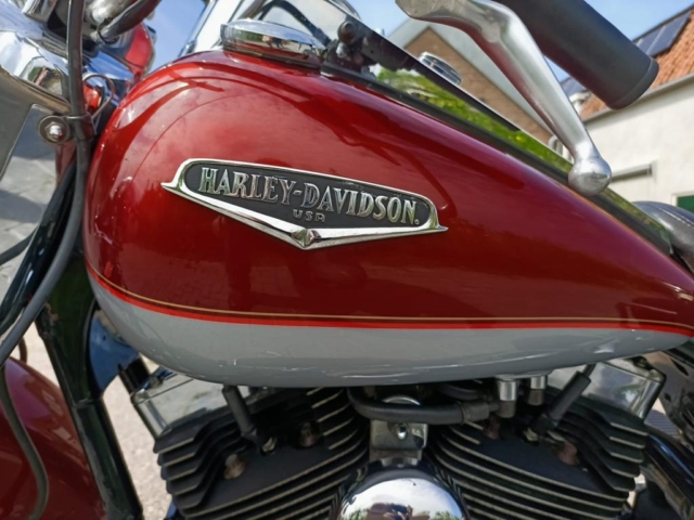 stefanhead harley davidson usate rimini