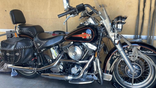 stefanhead harley davidson usate rimini