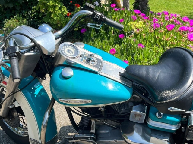 stefanhead harley davidson usate rimini