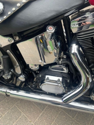 stefanhead harley davidson usate rimini