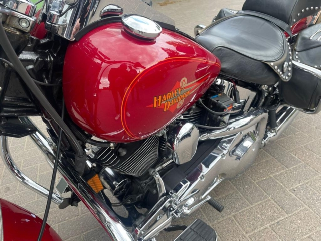 stefanhead harley davidson usate rimini