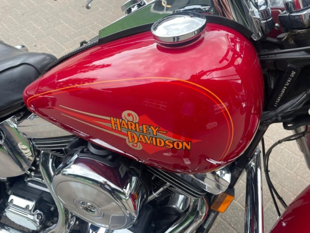 stefanhead harley davidson usate rimini