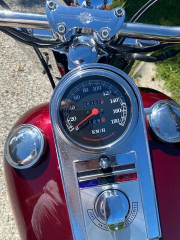 stefanhead harley davidson usate rimini