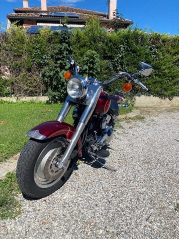 stefanhead harley davidson usate rimini