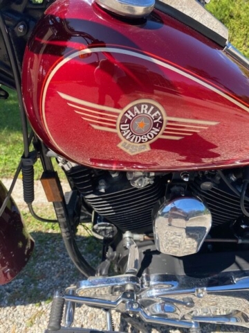 stefanhead harley davidson usate rimini