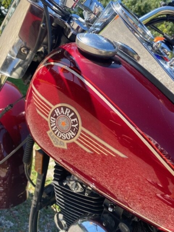 stefanhead harley davidson usate rimini