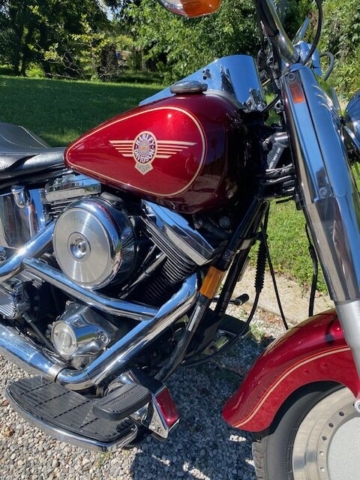 stefanhead harley davidson usate rimini