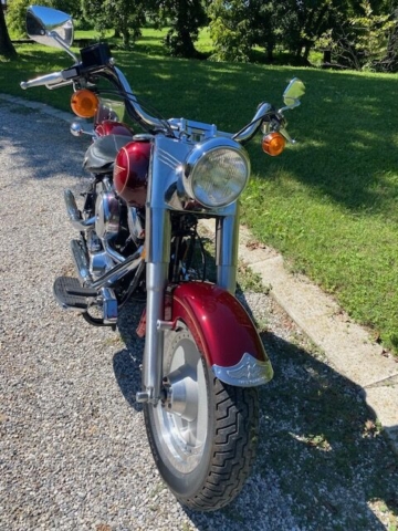 stefanhead harley davidson usate rimini