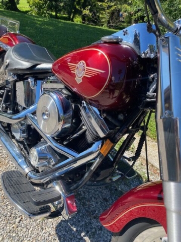 stefanhead harley davidson usate rimini