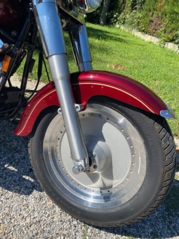 stefanhead harley davidson usate rimini
